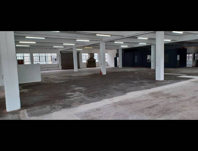 1,000M² WAREHOUSE TO LET IN NEW GERMANY
